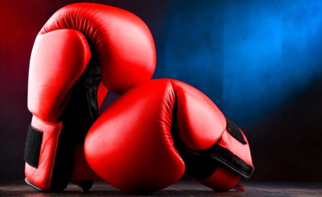 Pair,Of,Red,Leather,Boxing,Gloves.