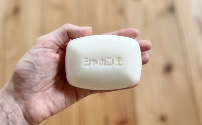 roomie_Bath-Soap-COVER-2_1.jpg
