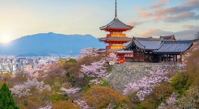 Sunset,View,Of,Kiyomizu,Dera,Temple,Pagoda,Framed,By,Cherry
