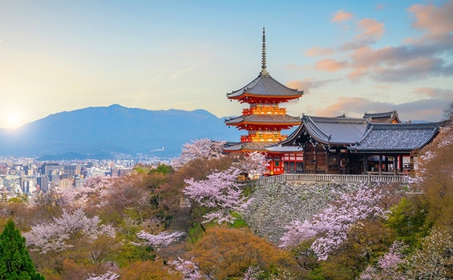 Sunset,View,Of,Kiyomizu,Dera,Temple,Pagoda,Framed,By,Cherry
