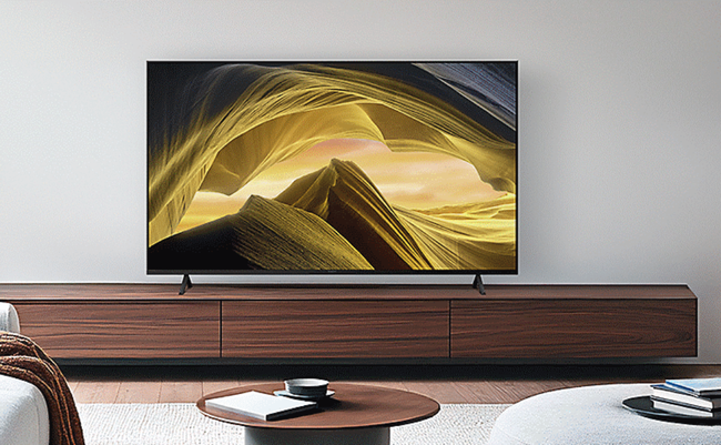 roomie_20260902_sony_bravia65v.png