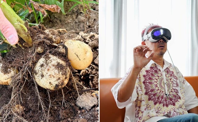 roomie_fc6927a4cd7fc6f068de9eb5d3ae4aff-1-scaled.jpg